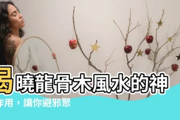 【龍骨木風水】揭曉龍骨木風水的神奇作用，讓你避邪聚財旺事業！