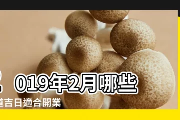 【2019年2月7開業可好】2019年2月哪些黃道吉日適合開業 |2019年2月7日黃歷查詢 |2020年2月開業黃道吉日 |