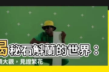 【石斛蘭種類】揭秘石斛蘭的世界：種類大觀，見證繁花似錦！
