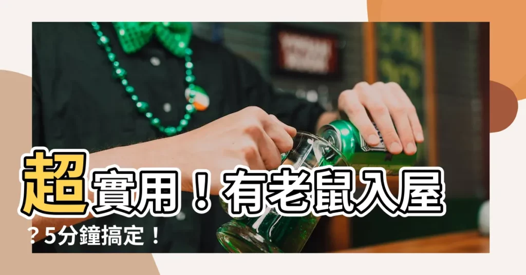 【有老鼠入屋】超實用！有老鼠入屋？5分鐘搞定！