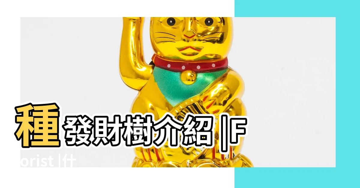 【發財樹室內】種發財樹介紹 |Florist |什麼是發財樹 |