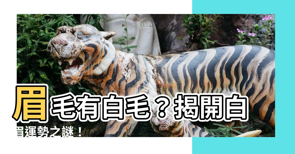 【眉毛有白毛】眉毛有白毛？揭開白眉運勢之謎！