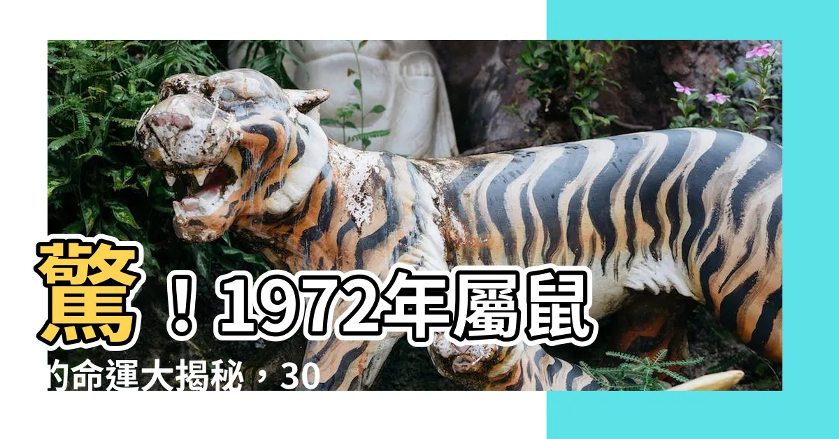 【1972年屬鼠的命運】驚！1972年屬鼠的命運大揭秘，30年後會如何？