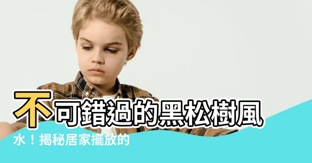 【黑松樹風水】不可錯過的黑松樹風水！揭秘居家擺放的玄機