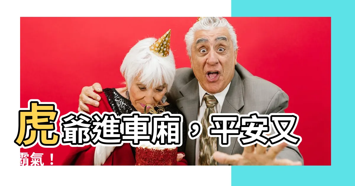 【虎爺放車上】虎爺進車廂，平安又霸氣！