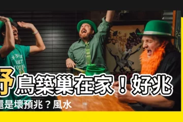 【鳥築巢在家】野鳥築巢在家！好兆頭還是壞預兆？風水專家告訴你真相