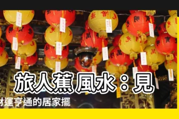 【旅人蕉 風水】 旅人蕉 風水：見證財運亨通的居家擺設
