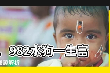 【1982 水狗】1982水狗一生富貴運勢解析