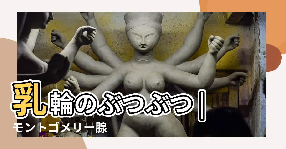 【乳輪腺】乳輪のぶつぶつ |モントゴメリー腺 |乳輪のぶつぶつ |