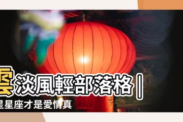 【金星星座在雙子座】雲淡風輕部落格 |金星星座才是愛情真正的樣子 |金星雙子座的雙重浪漫璀璨之旅 |