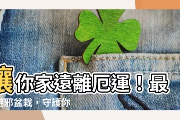 【避邪盆栽】讓你家遠離厄運！最強避邪盆栽，守護你的居家安全
