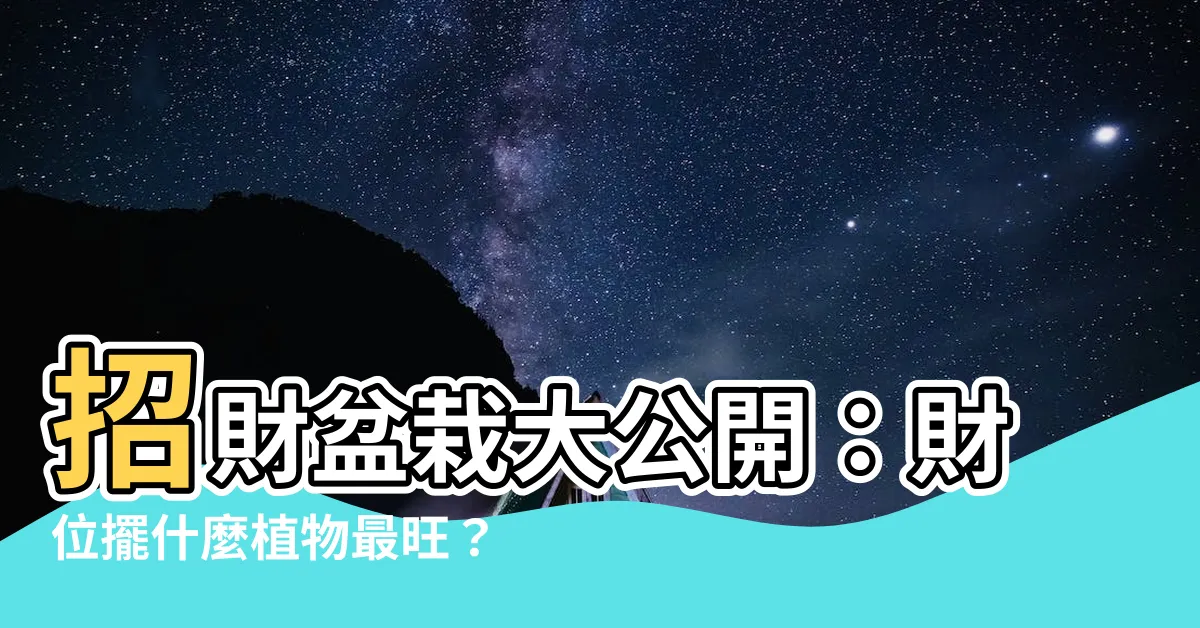【擺設財位放什麼植物】招財盆栽大公開：財位擺什麼植物最旺？