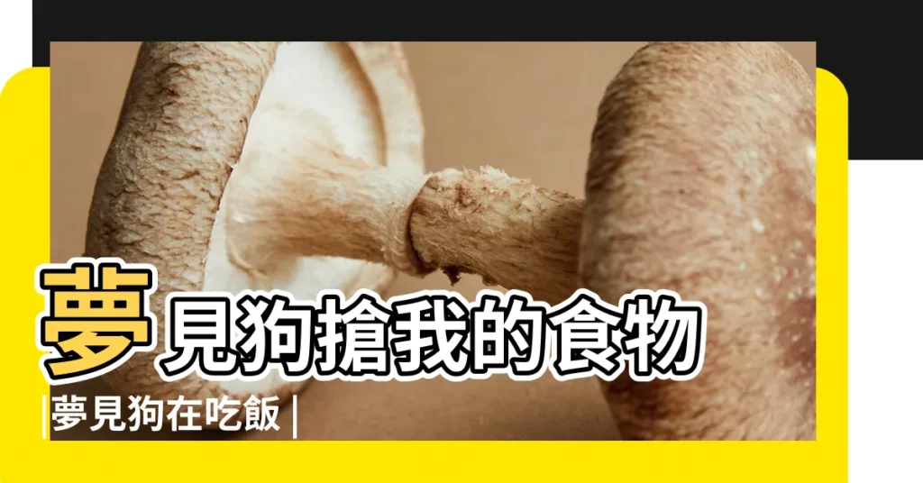 夢見狗搶我的食物 |夢見狗在吃飯 |夢見吃飯吃的很飽單身者夢見吃的很撐桃花旺 |【夢見狗吃的太飽】