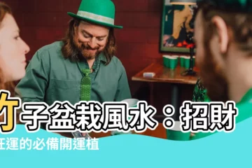 【竹子盆栽風水】竹子盆栽風水：招財、旺運的必備開運植物