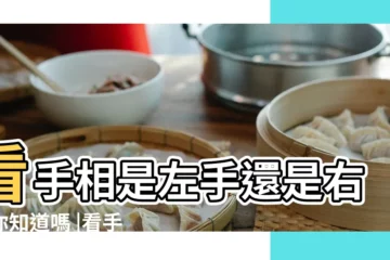 【掌紋看左手還是右手】看手相是左手還是右手你知道嗎 |看手相是看左手還是右手 |幸運手相七大特徵全公開掌紋看左手還是右手 |