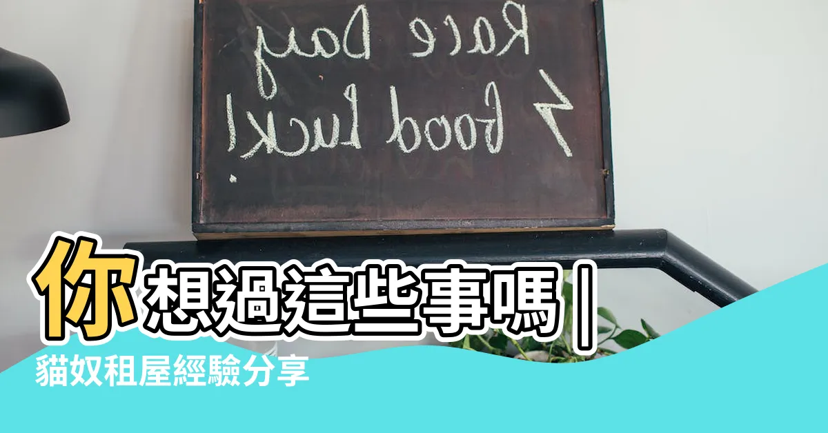 【租屋養貓】你想過這些事嗎 |貓奴租屋經驗分享 |租屋養貓 |