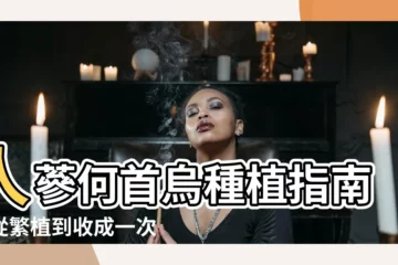 【人蔘何首烏種植】人蔘何首烏種植指南：從繁植到收成一次搞懂