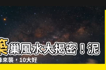 【泥壺蜂築巢風水】築巢風水大揭密！泥壺蜂來襲，10大好運報到等你接！