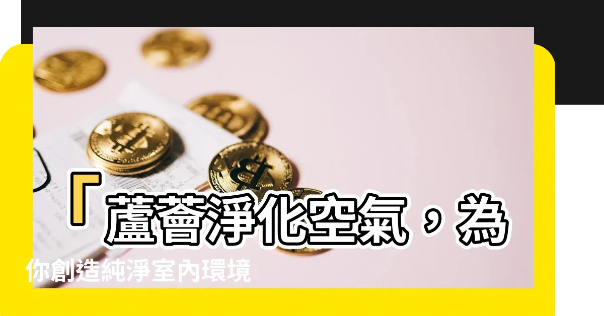 【蘆薈淨化空氣】「蘆薈淨化空氣，為你創造純淨室內環境，提供一晚安眠」