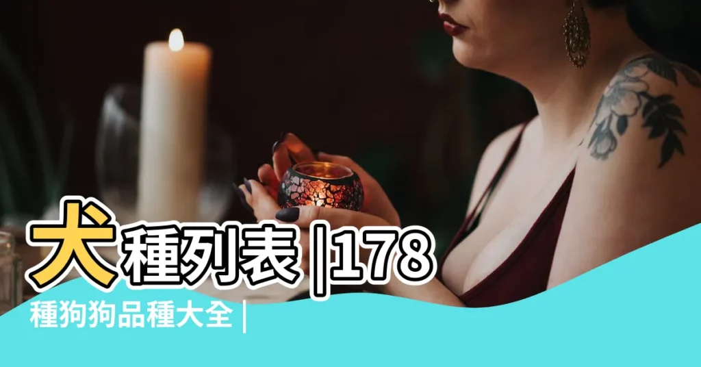犬種列表 |178種狗狗品種大全 |原來按體型智商都是這麼分 |【三個字的狗狗品種圖片大全】