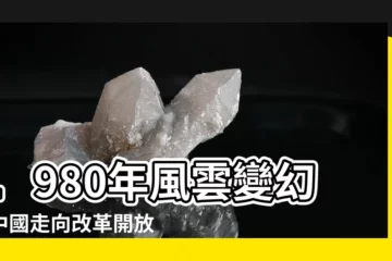 【1980年】1980年風雲變幻：中國走向改革開放的關鍵時刻