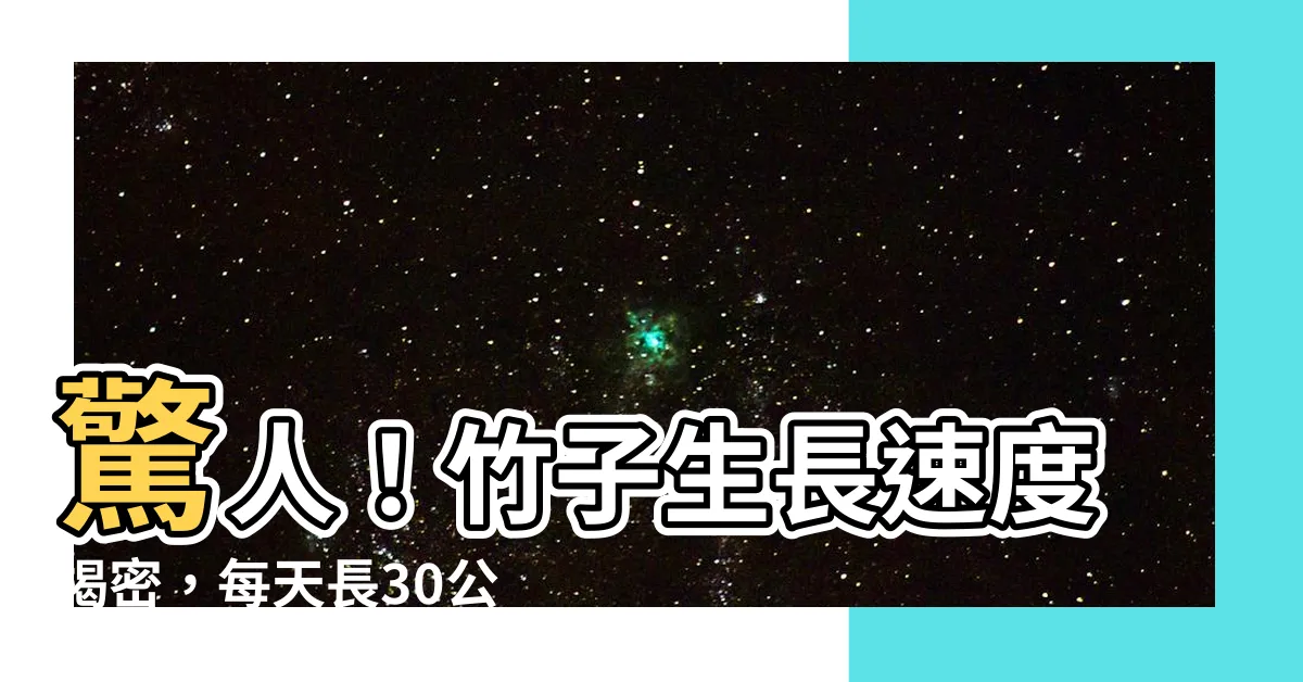 【竹子生長速度】驚人！竹子生長速度揭密，每天長30公分，超越你的想像！