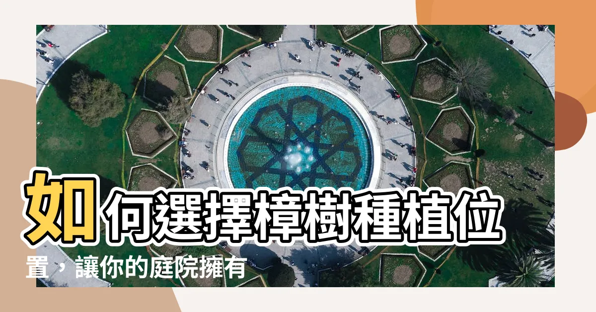 【樟樹 風水】如何選擇樟樹種植位置，讓你的庭院擁有絕佳的風水能量
