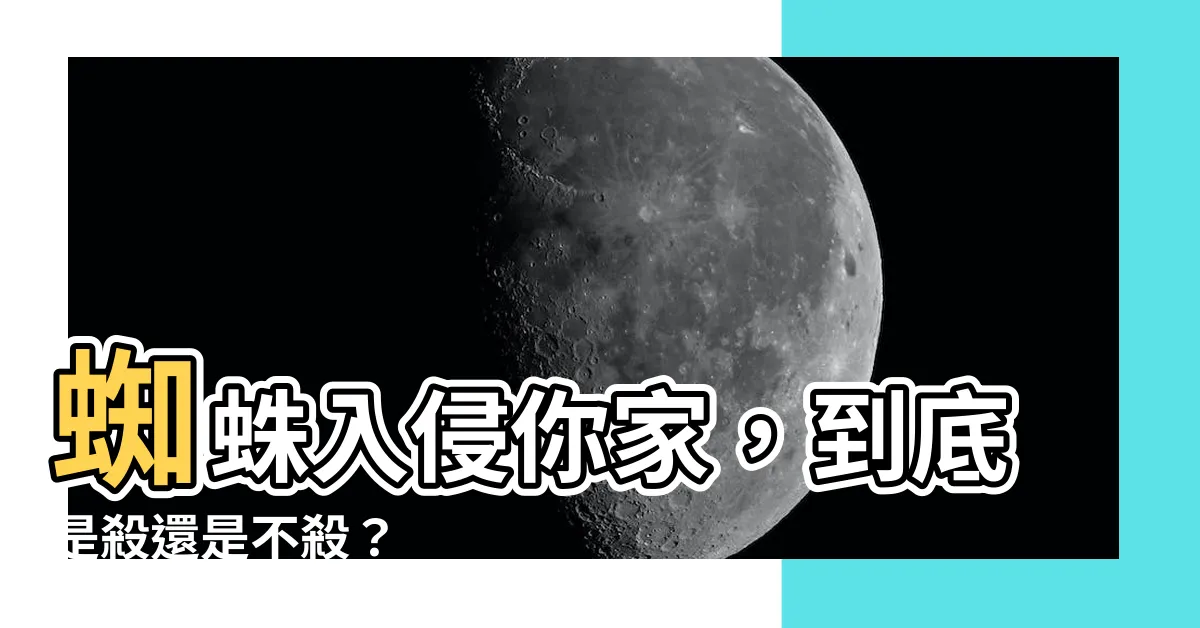 【蜘蛛 家裡】蜘蛛入侵你家，到底是殺還是不殺？
