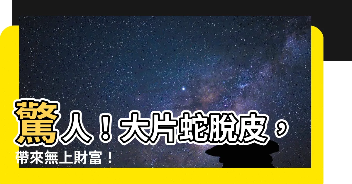 【蛇皮 招財】驚人！大片蛇脱皮，帶來無上財富！