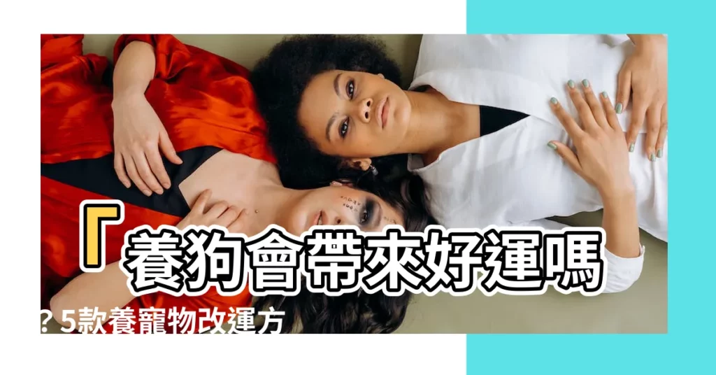 【養狗會帶來好運嗎】「養狗會帶來好運嗎?5款養寵物改運方法,從心靈到財運都來」