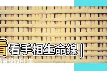 【小寶寶生命線分叉】看看手相生命線 |小孩身體如何 |生命線分叉了 |