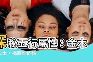 【屬性 金木水火土】探秘五行屬性：金木水火土，揭露你的性格特質！