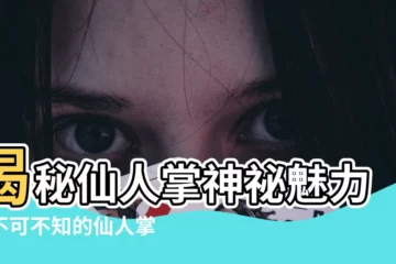 【仙人掌特性】揭秘仙人掌神秘魅力：不可不知的仙人掌特性大公開！