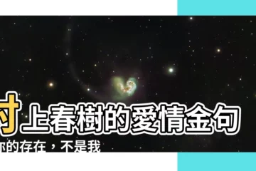 【你不是我權衡利弊後的選擇出處】村上春樹的愛情金句：你的存在，不是我的權衡利弊後的選擇！