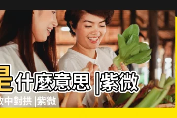 【紫微鬥數見的含義】是什麼意思 |紫微斗數中對拱 |紫微斗數中 |