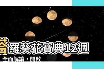 【塔羅葵花寶典】塔羅葵花寶典12週年：全面解讀，開啟塔羅神秘之旅！