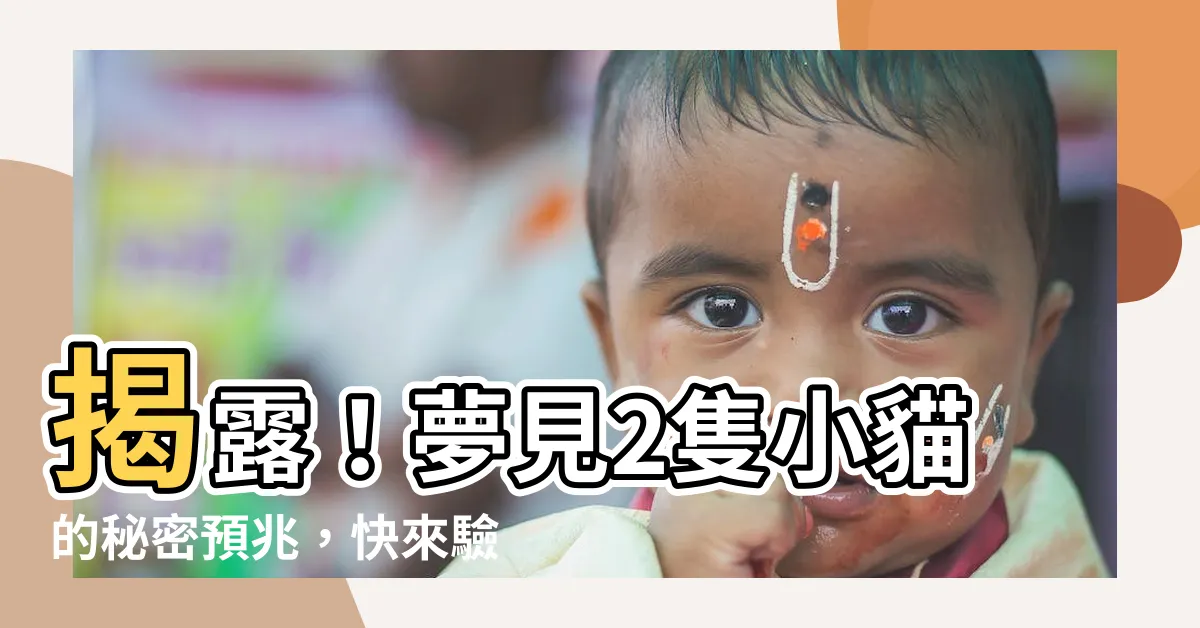 【夢見2隻貓】揭露！夢見2隻小貓的秘密預兆，快來驗證你的夢！