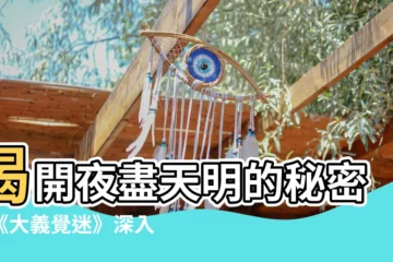 【夜盡天明的外省豬】揭開夜盡天明的秘密：《大義覺迷》深入剖析外省豬的轉變