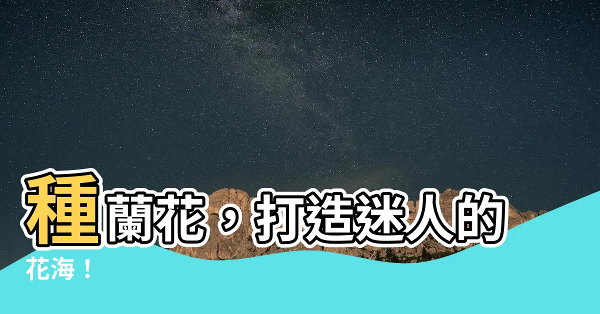 【種蘭花】種蘭花，打造迷人的花海！