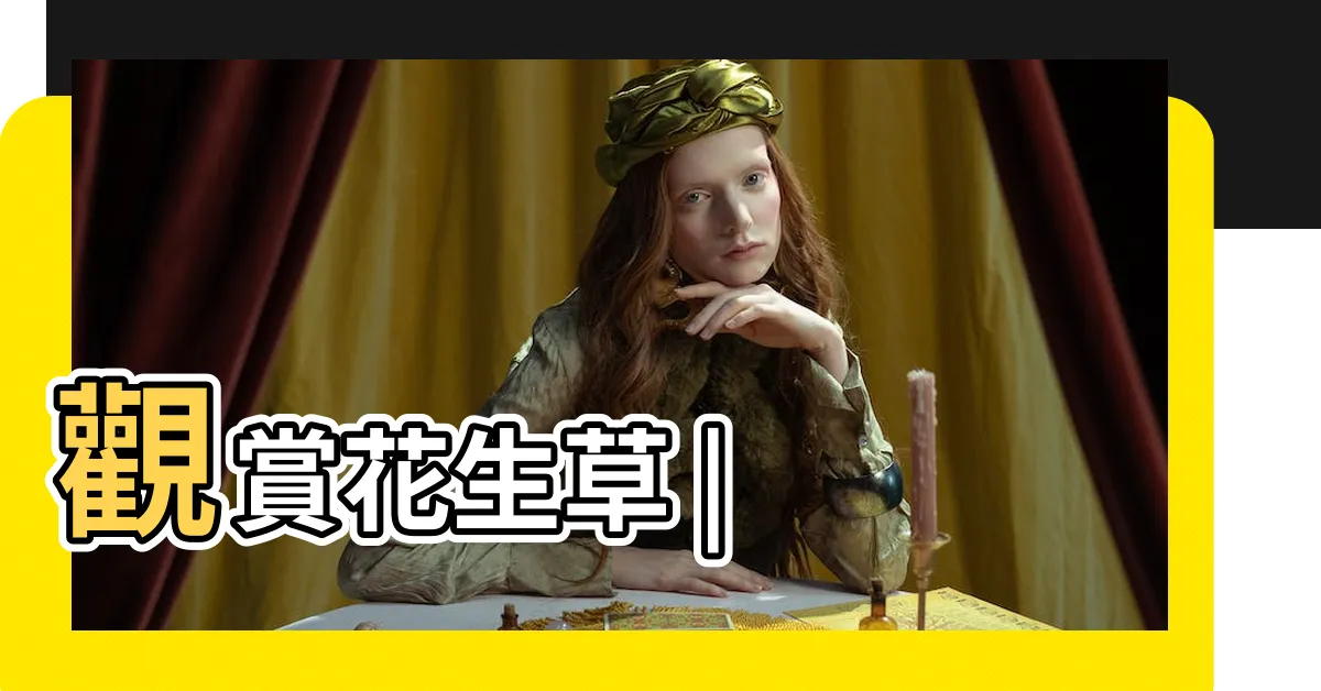 【花生草】觀賞花生草 |