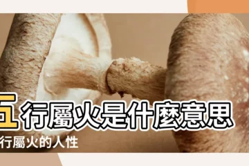 【五行屬火的字含義詳解】五行屬火是什麼意思 |五行屬火的人性格大全 |五行屬火的字 |