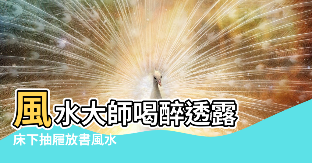 【床下抽屜放書風水】風水大師喝醉透露 |床下抽屜放書風水 |風水大師喝醉透露 |