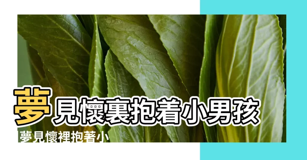 夢見懷裏抱着小男孩 |夢見懷裡抱著小男孩 |夢見依偎在男人懷裏 |【夢見小孩在男人懷裏】