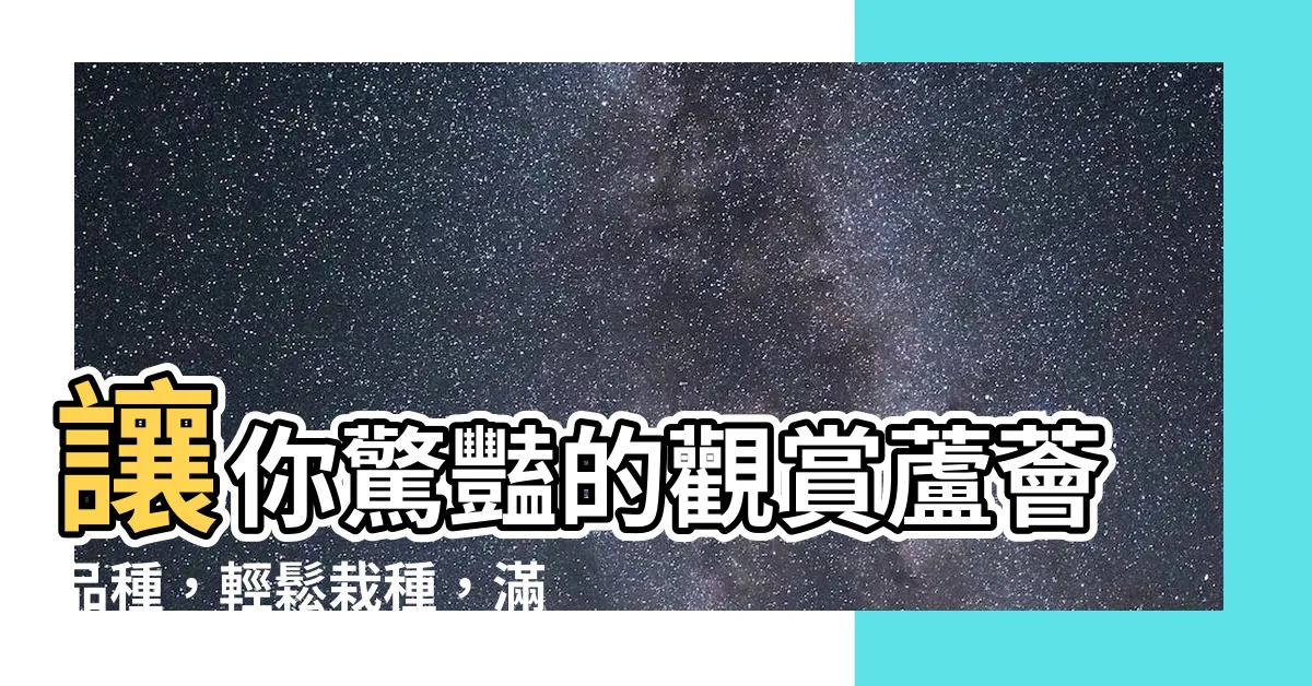 【觀賞蘆薈】讓你驚豔的觀賞蘆薈品種，輕鬆栽種，滿開盛花等你來