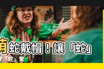 【蛇戴帽子】萌蛇戴帽！讓「蛇」怕變「蛇」驚