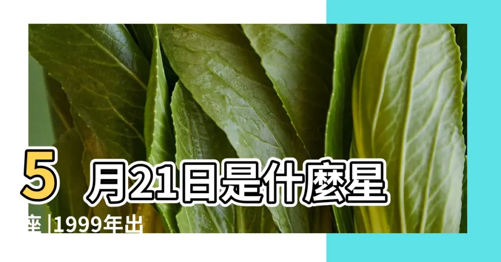 5月21日是什麼星座 |1999年出生的是什麼星座的 |1999年5月21日是什麼星座 |【1999年5月21什麼星座】