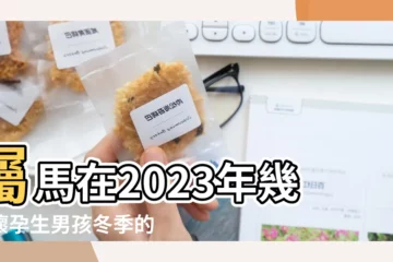 【馬年生男孩女孩幾率多】屬馬在2023年幾月懷孕生男孩冬季的月份適宜生男寶寶 |請問羊年生男孩的幾率高還是生 |明年懷孕機率太高了 |