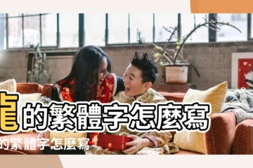 【繁體的龍怎麼寫】龍的繁體字怎麼寫 |龍的繁體字怎麼寫 |