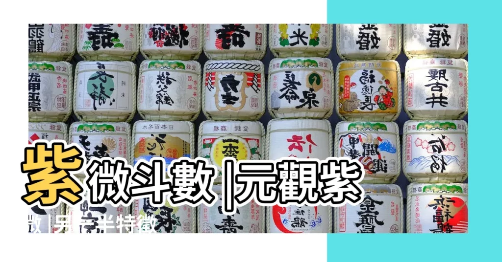 紫微斗數 |元觀紫微 |另一半特徵 |【從夫妻宮主星看配偶(新)】