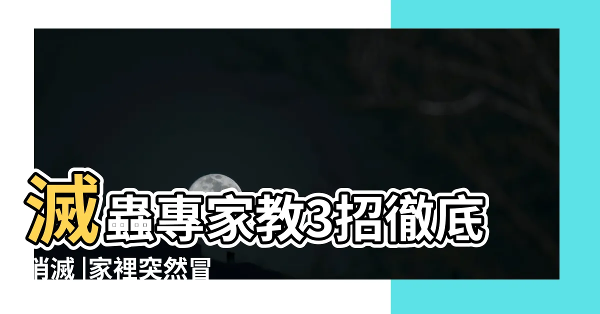 【為什麼家裡突然出現很多螞蟻】滅蟲專家教3招徹底消滅 |家裡突然冒出很多小螞蟻怎麼辦 |家裡突然出現很多螞蟻預示什麼 |